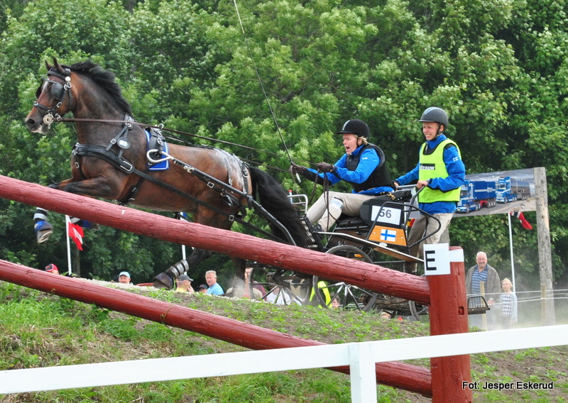 Hest på broen